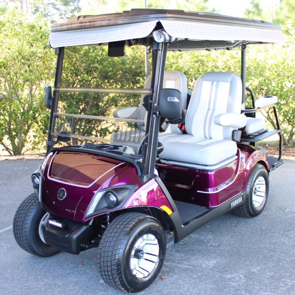 2025 Yamaha Drive2