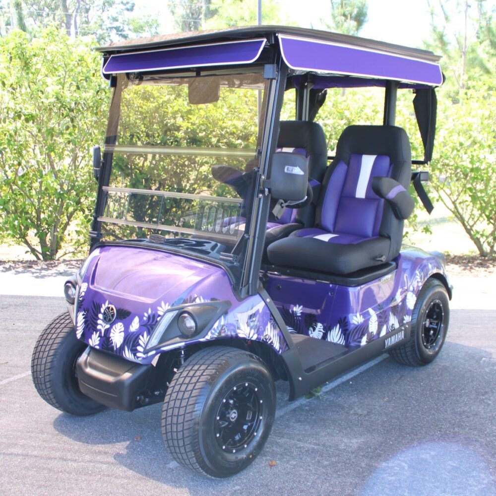 2025 Yamaha Drive2