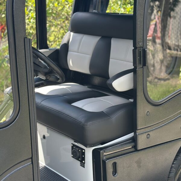2019 E-Z-GO Freedom RXV Electric - Image 2