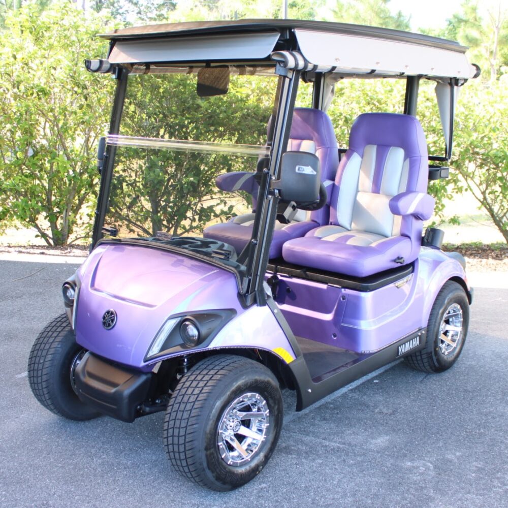 2025 Yamaha Drive2