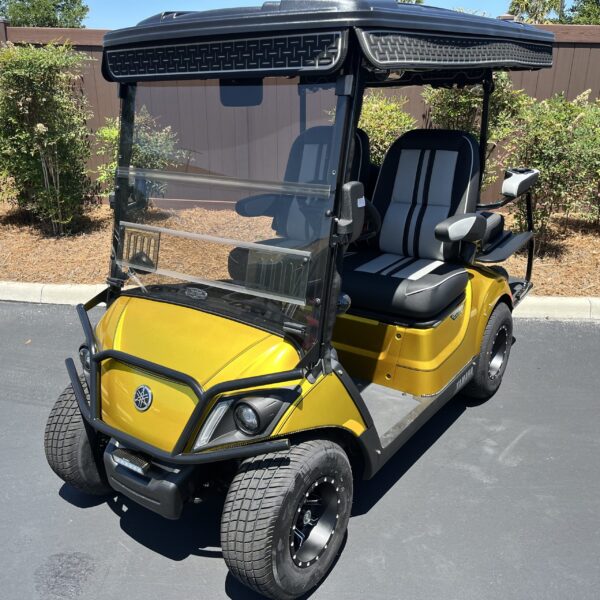 2025 Yamaha Drive2