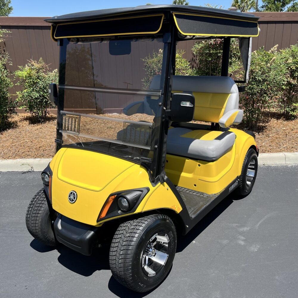 2019 Yamaha Drive2