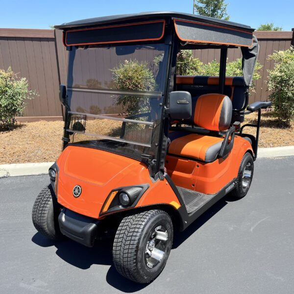 2019 Yamaha Drive2