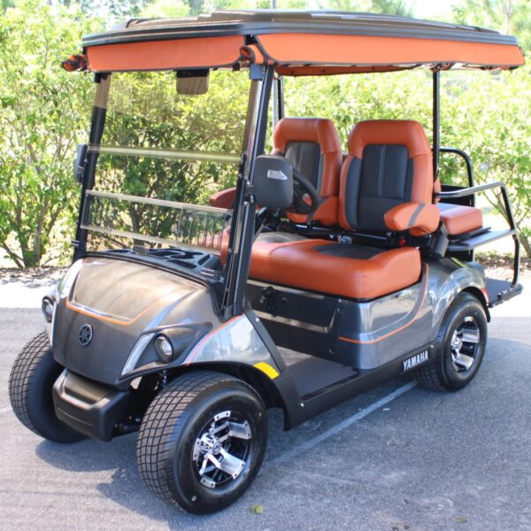 2025 Yamaha Drive2