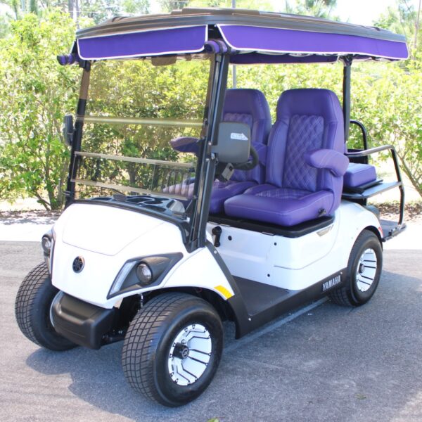 2025 Yamaha Drive2