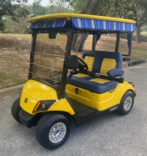 2018 Yamaha Drive2