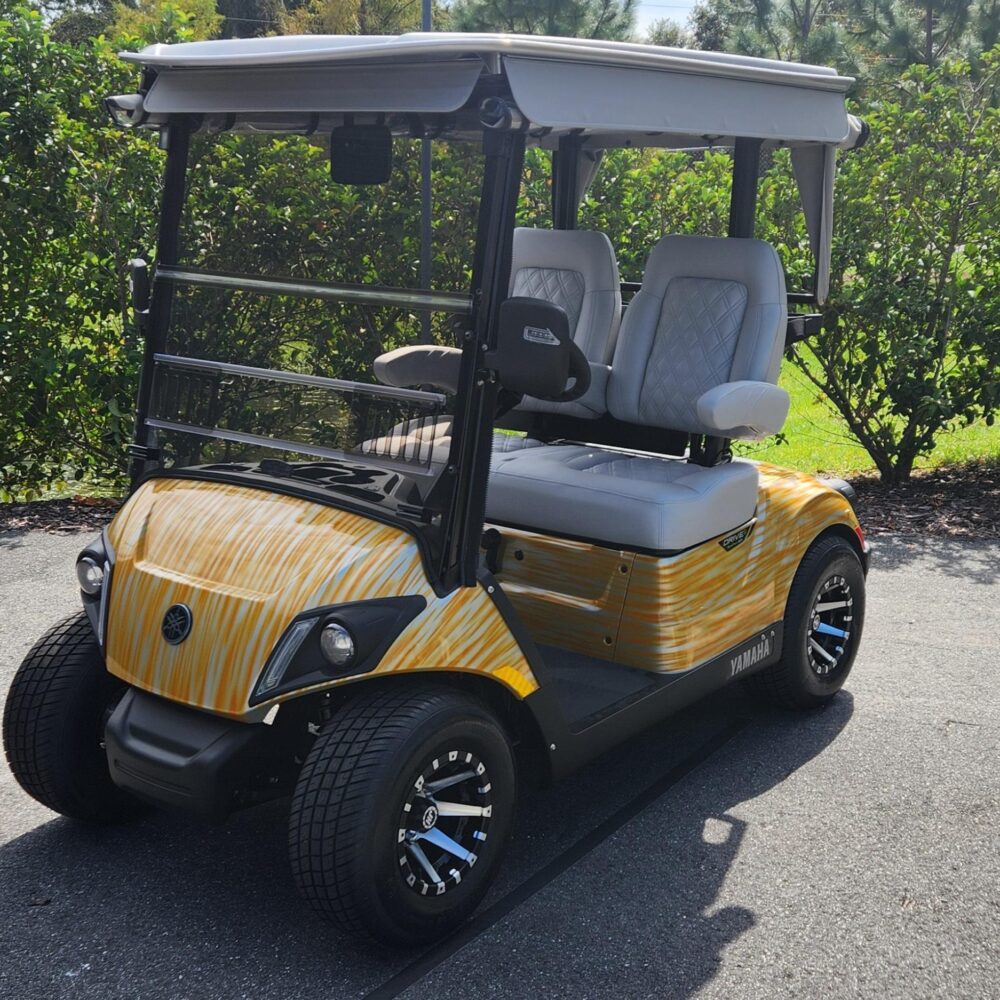 2025 Yamaha Drive2