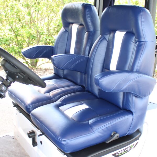 2025 Yamaha Drive2 - Image 2
