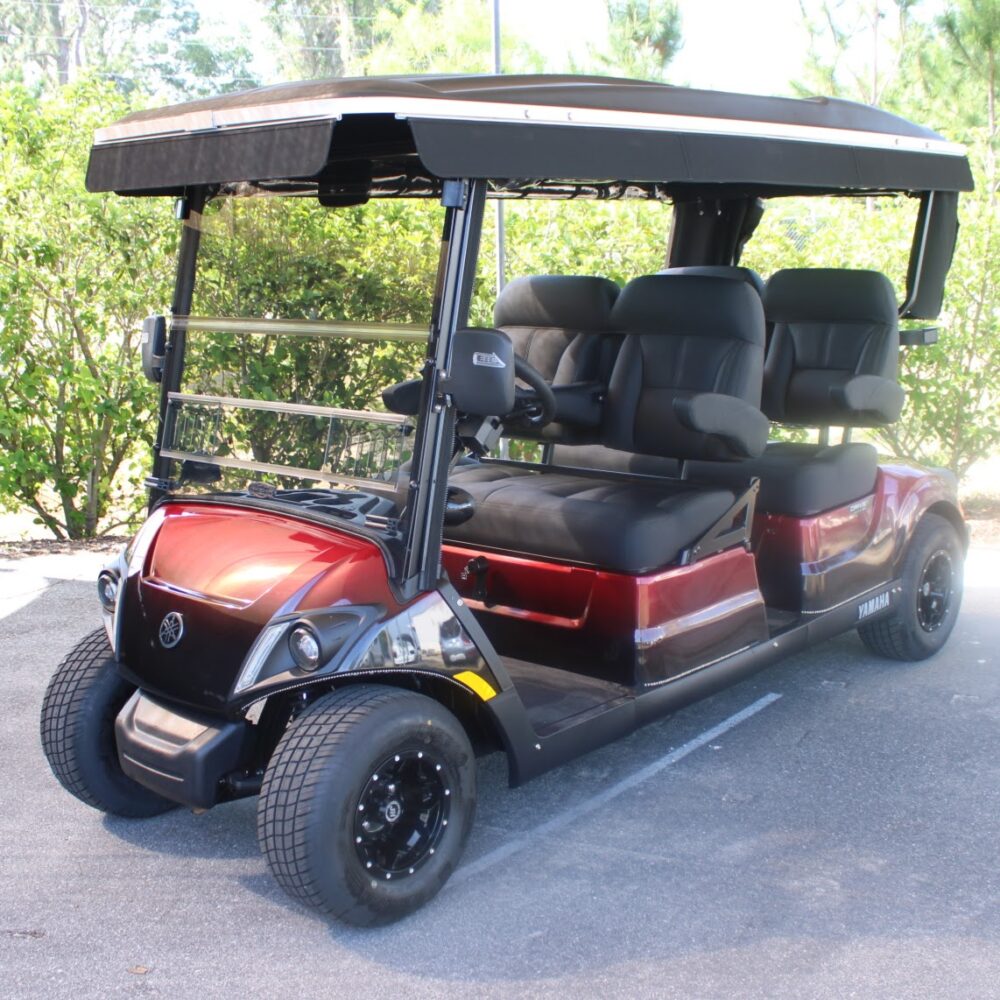 2023 Yamaha Concierge 4