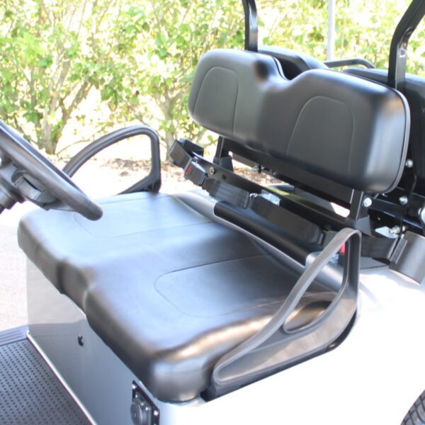 2019 E-Z-GO Freedom RXV Electric - Image 2