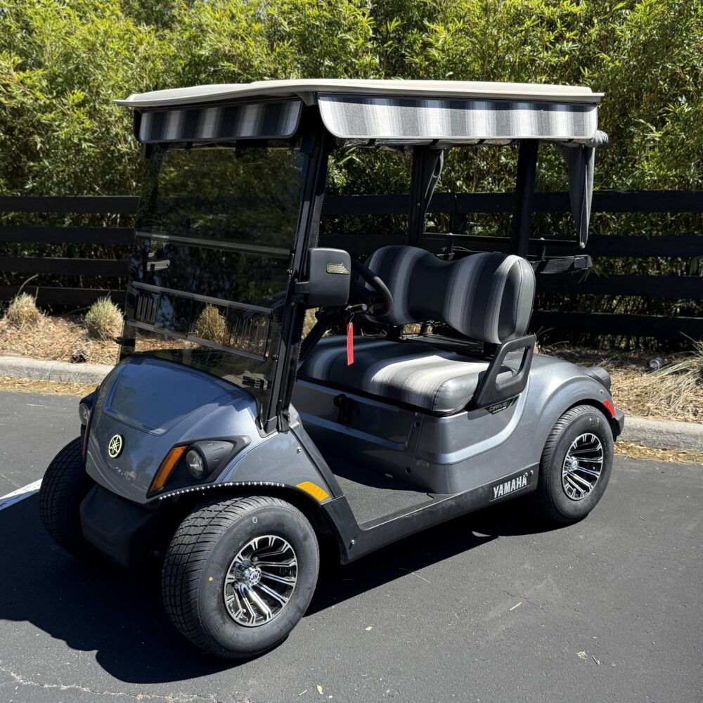 2019 Yamaha Drive2