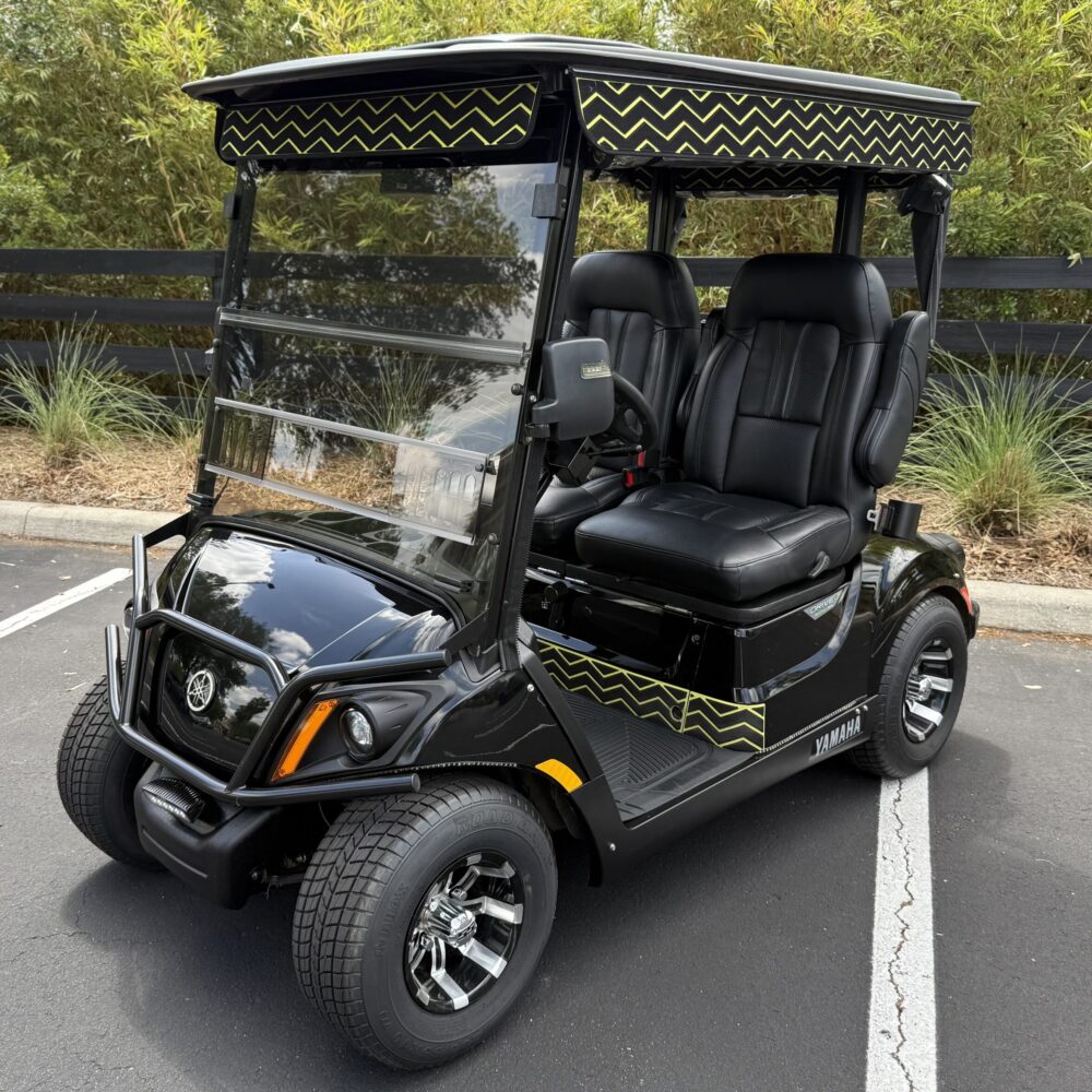 2019 Yamaha Drive2