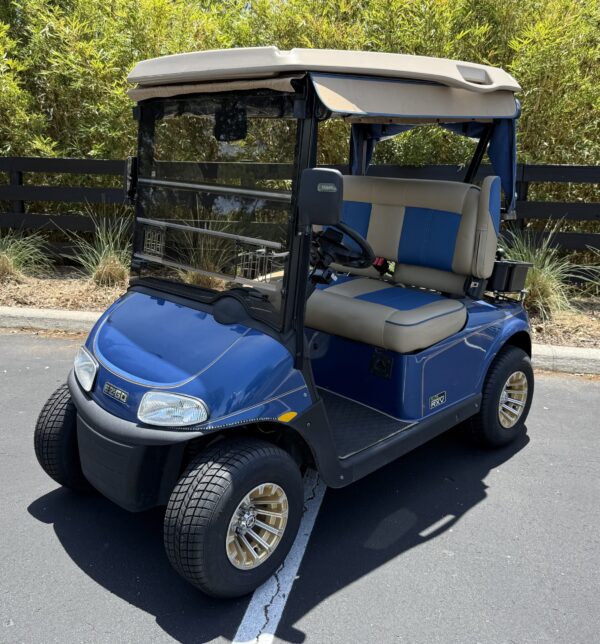 2019 E-Z-GO Freedom RXV ELiTE