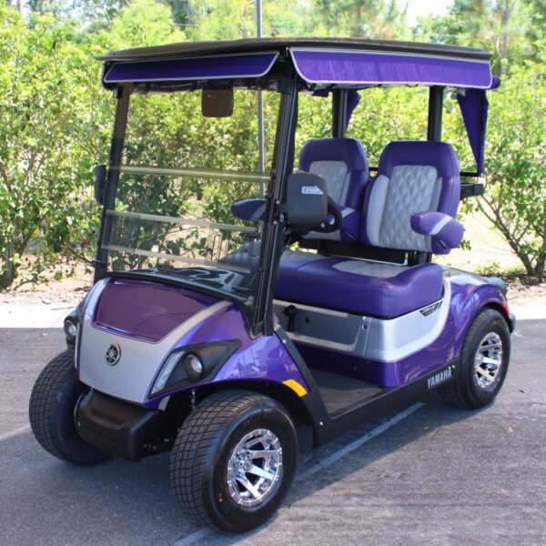 2025 Yamaha Drive2