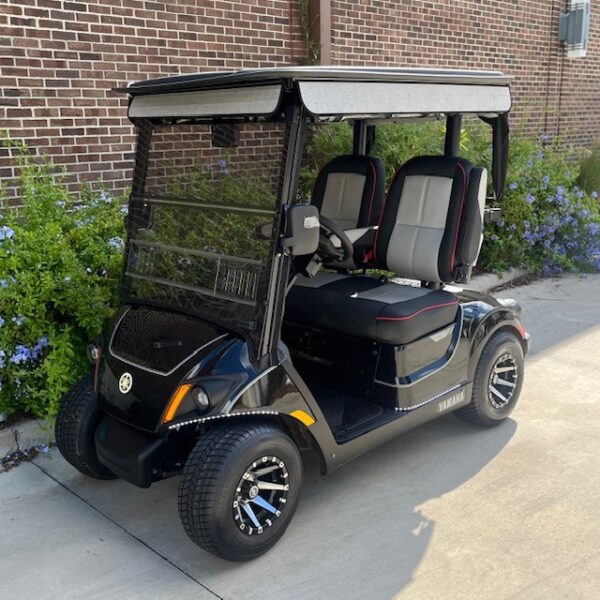 2019 Yamaha Drive2