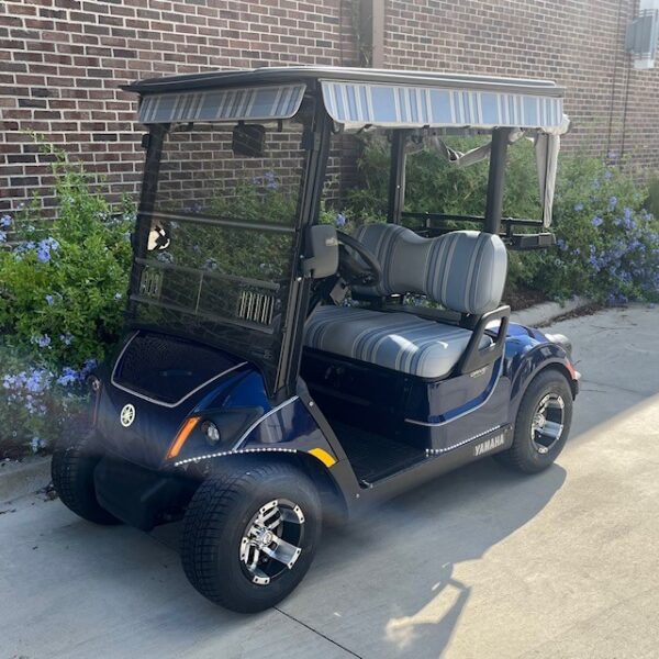 2018 Yamaha Drive2