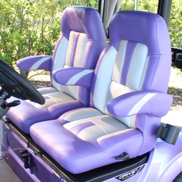 2025 Yamaha Drive2 - Image 2
