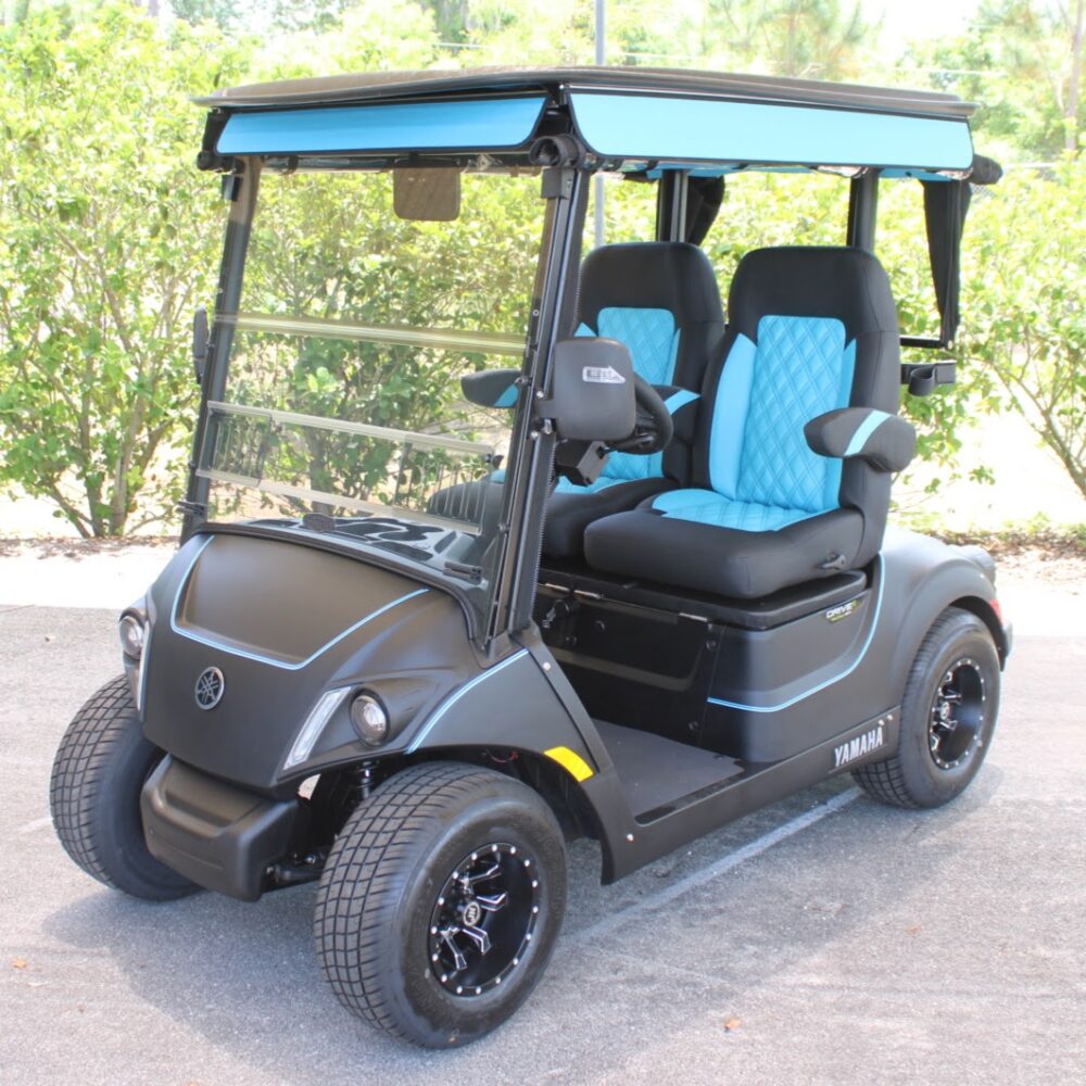 2025 Yamaha Drive2