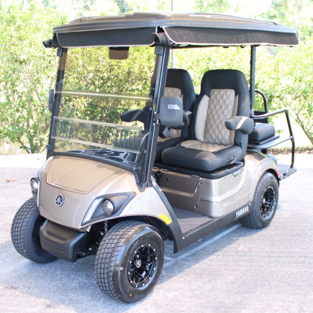 2025 Yamaha Drive2