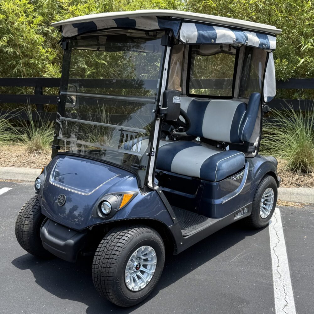 2019 Yamaha Drive2