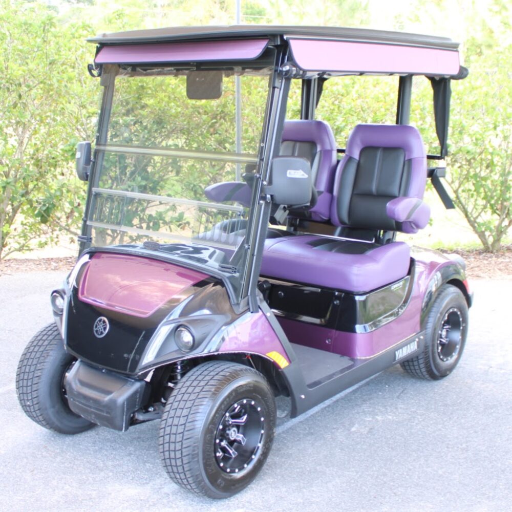 2024 Yamaha Drive2