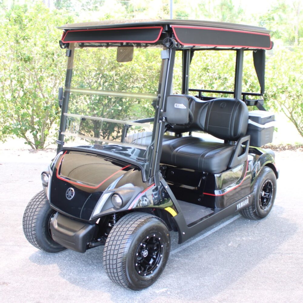 2025 Yamaha Drive2