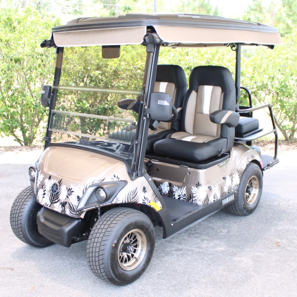 2025 Yamaha Drive2