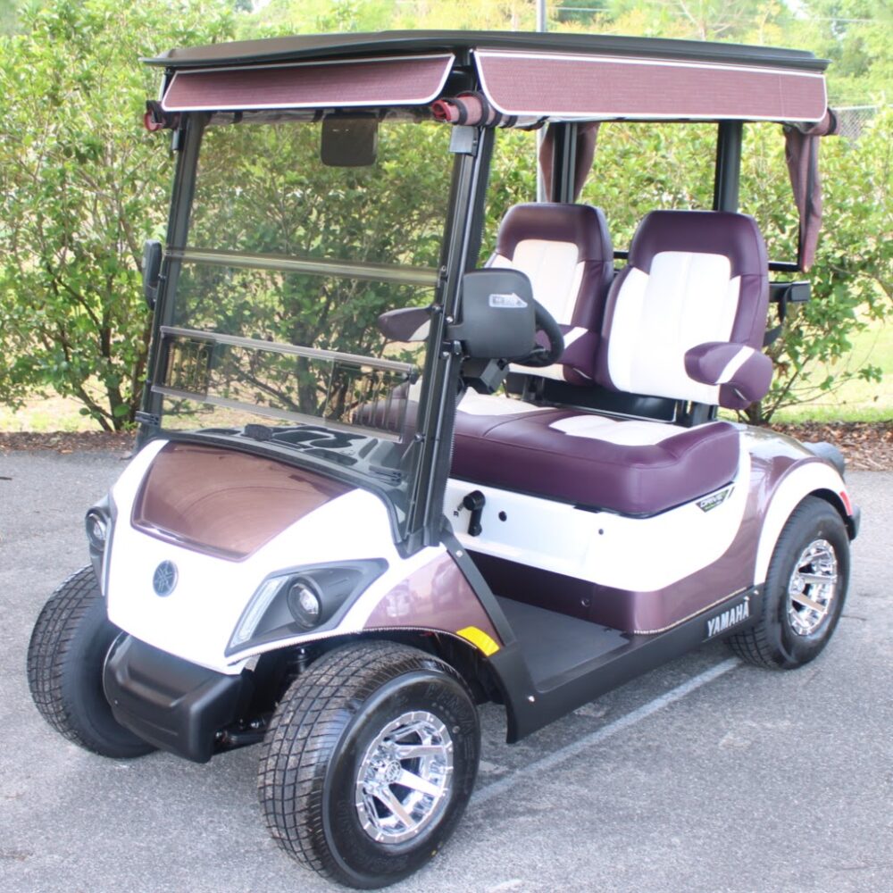 2025 Yamaha Drive2