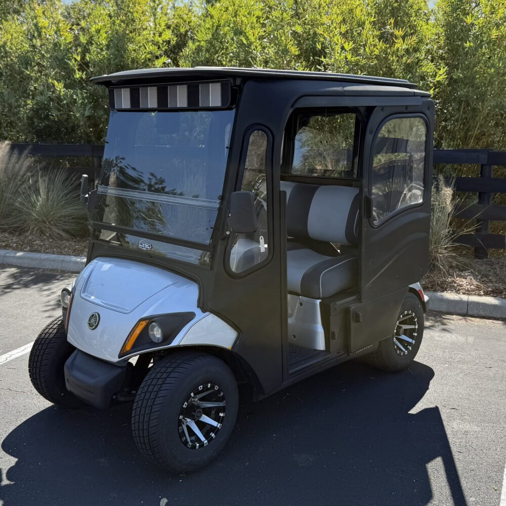 2018 Yamaha Drive2