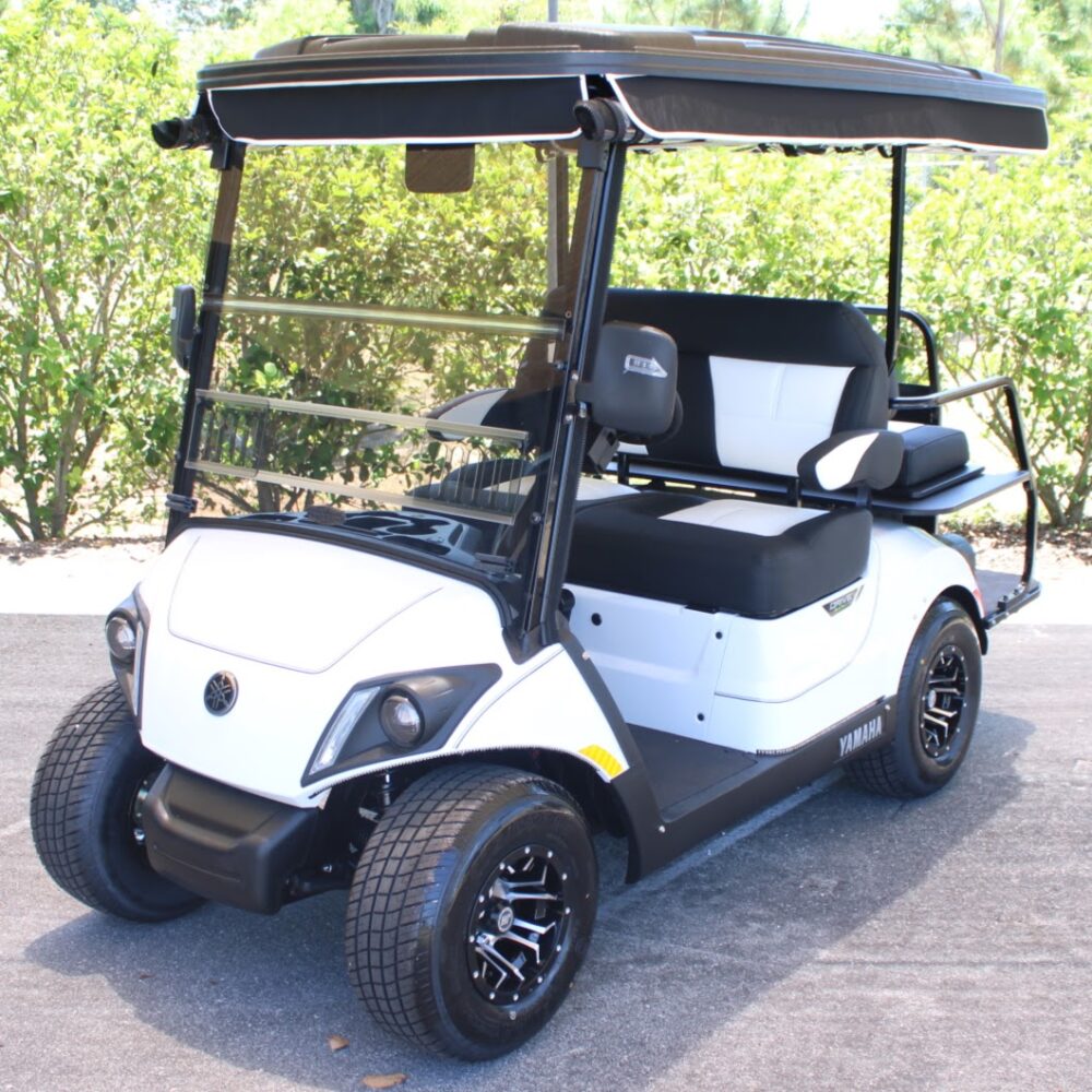 2025 Yamaha Drive2