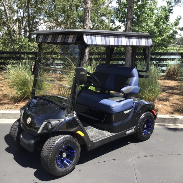 2021 Yamaha Drive2