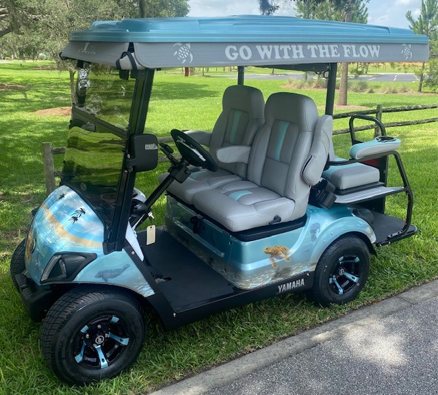 2025 Yamaha Drive2