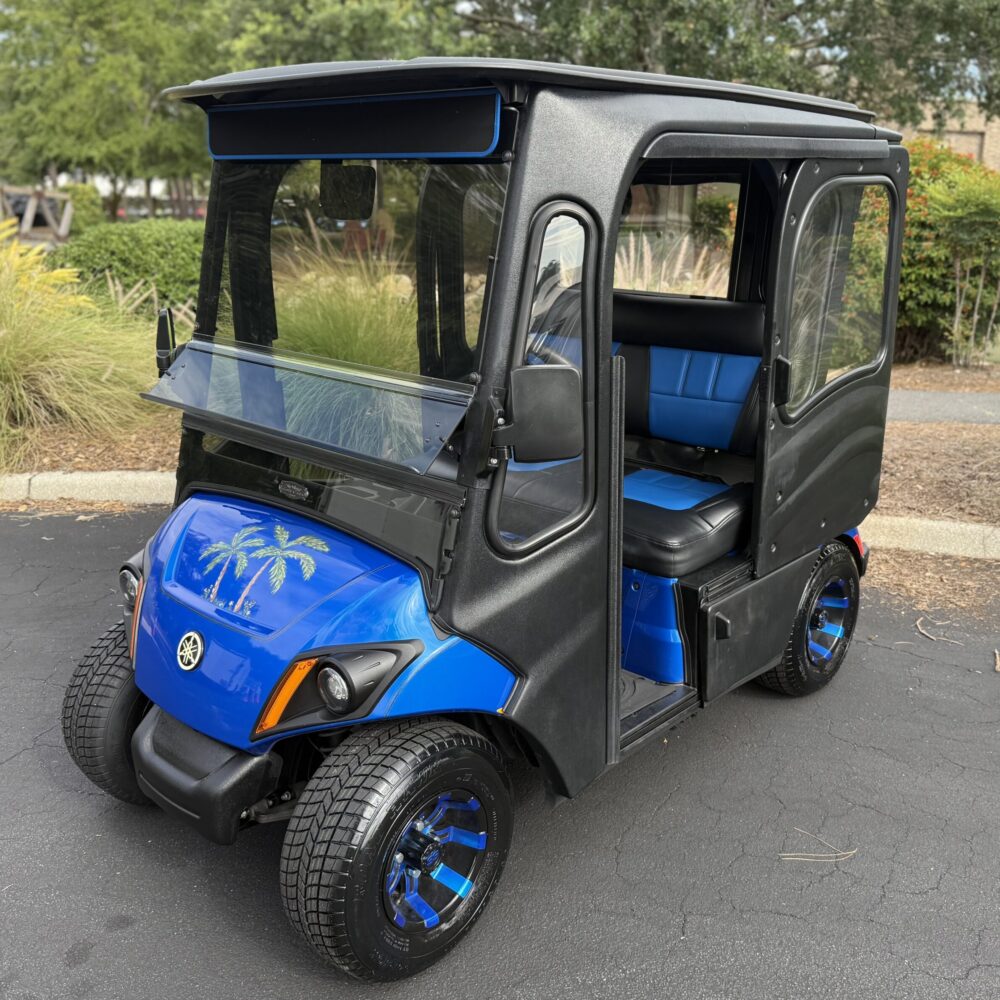 2018 Yamaha Drive2