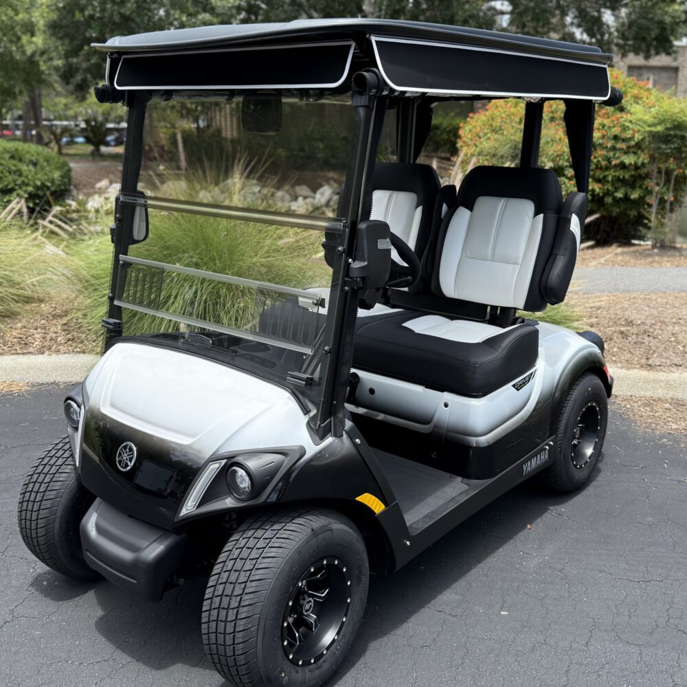 2022 Yamaha Drive2