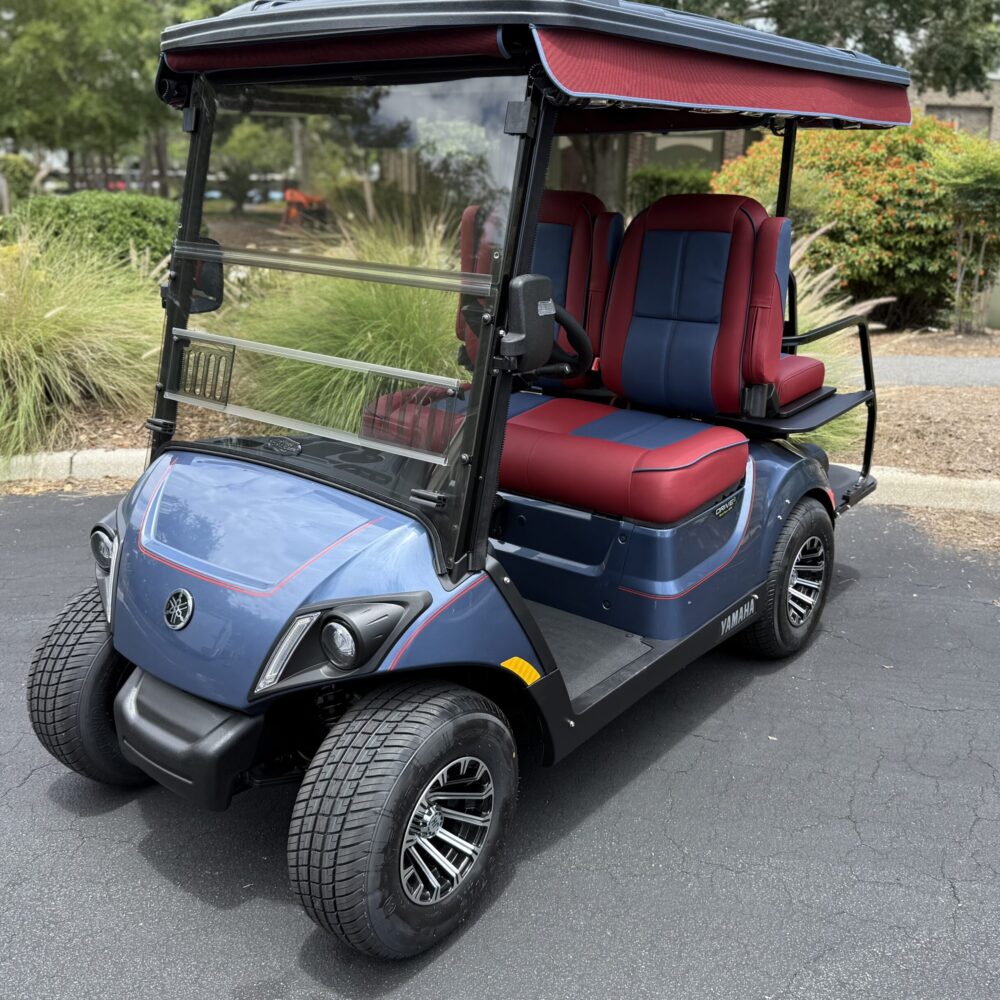 2022 Yamaha Drive2