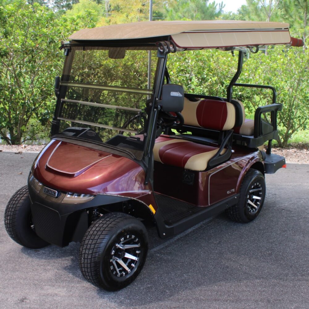 2025 E-Z-GO Freedom RXV ELiTE + RFS