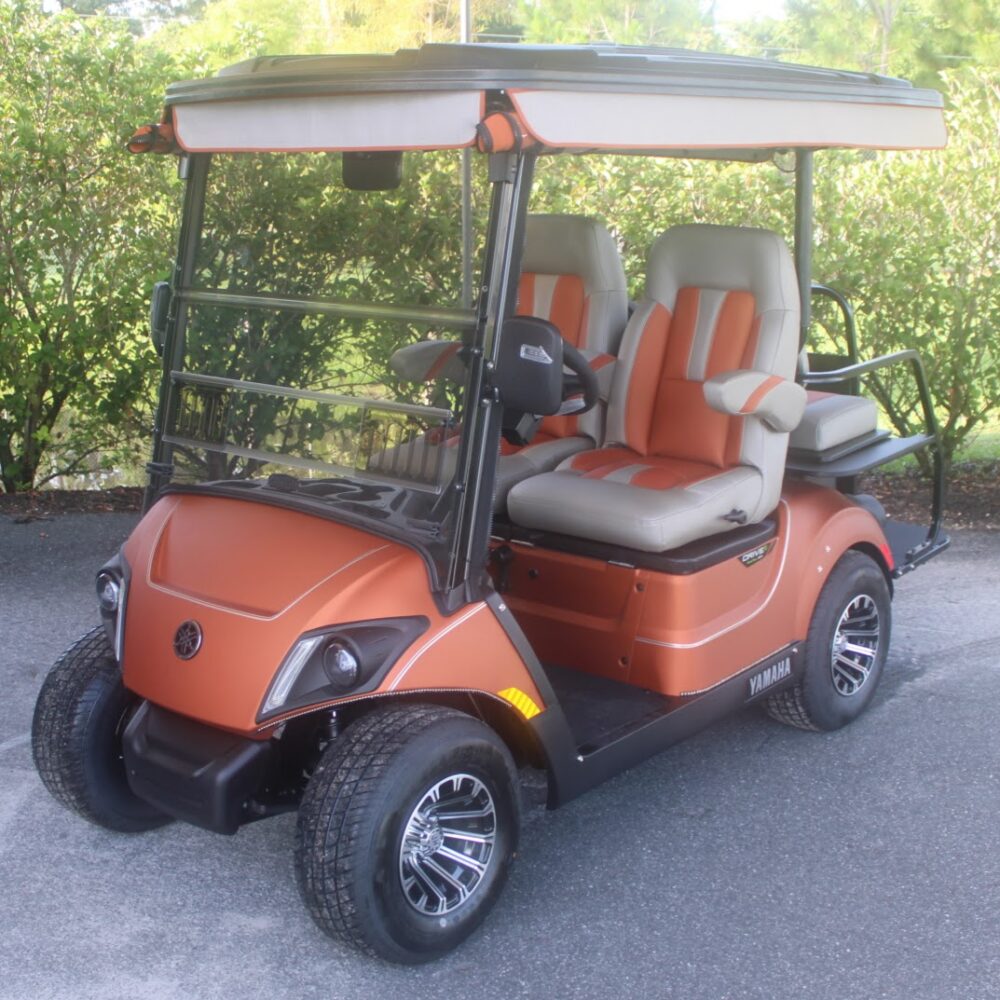 2022 Yamaha Drive2