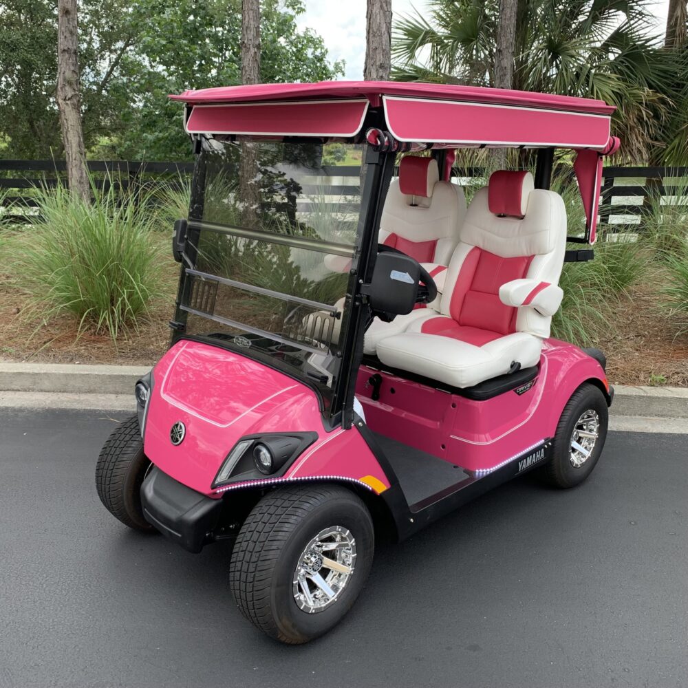 2025 Yamaha Drive2