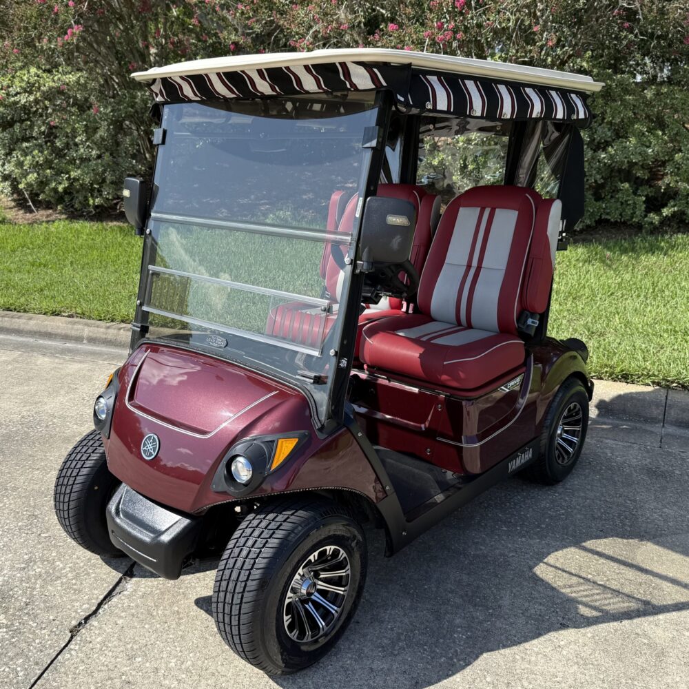 2019 Yamaha Drive2