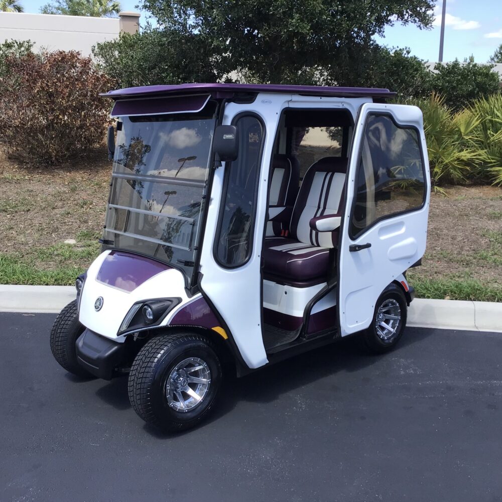 2021 Yamaha Drive2