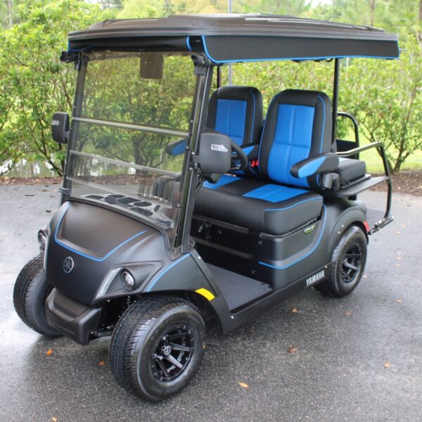 2025 Yamaha Drive2