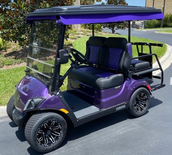 2025 Yamaha Drive2