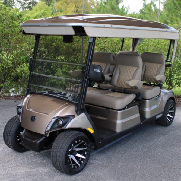 2023 Yamaha Concierge 4