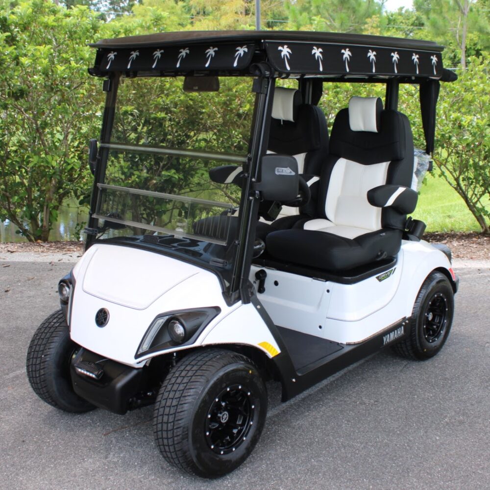 2025 Yamaha Drive2