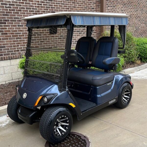 2019 Yamaha Drive2