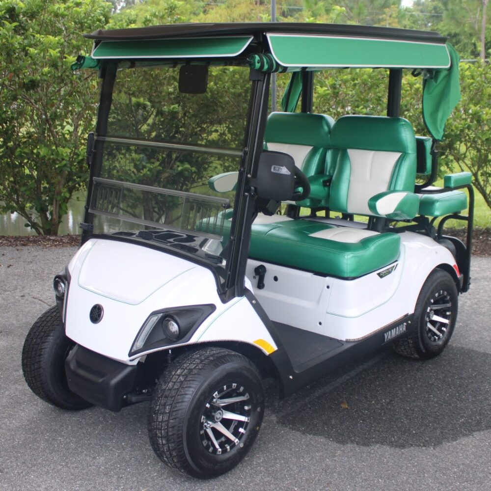 2025 Yamaha Drive2