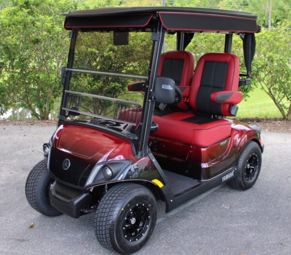 2025 Yamaha Drive2