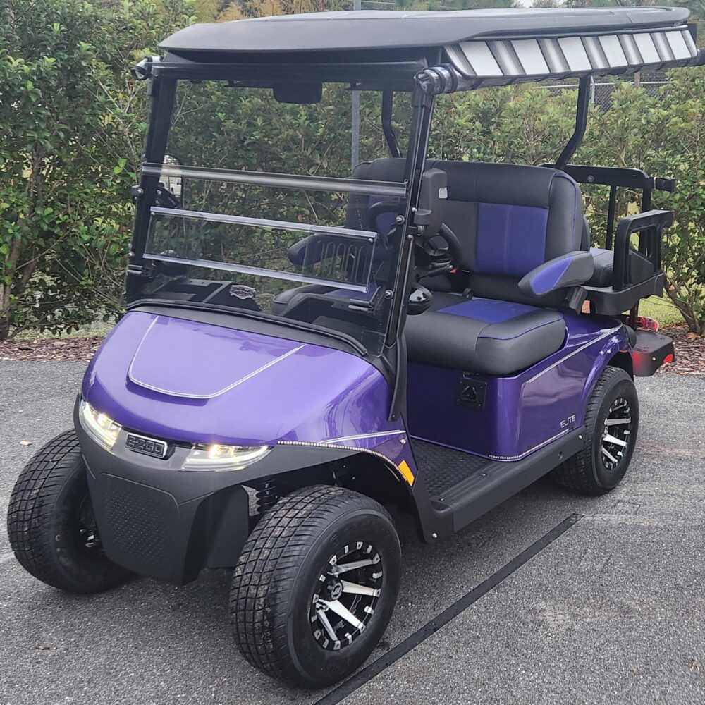 2025 E-Z-GO Freedom RXV ELiTE + RFS