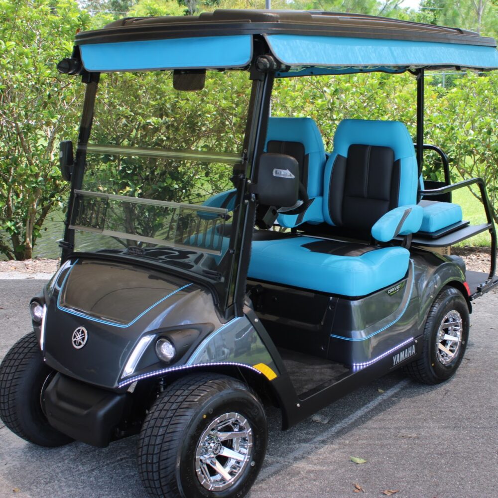 2022 Yamaha Drive2