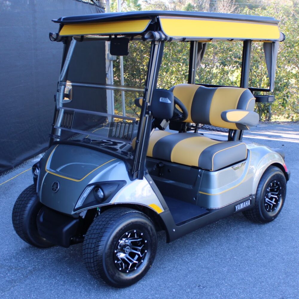 2025 Yamaha Drive2